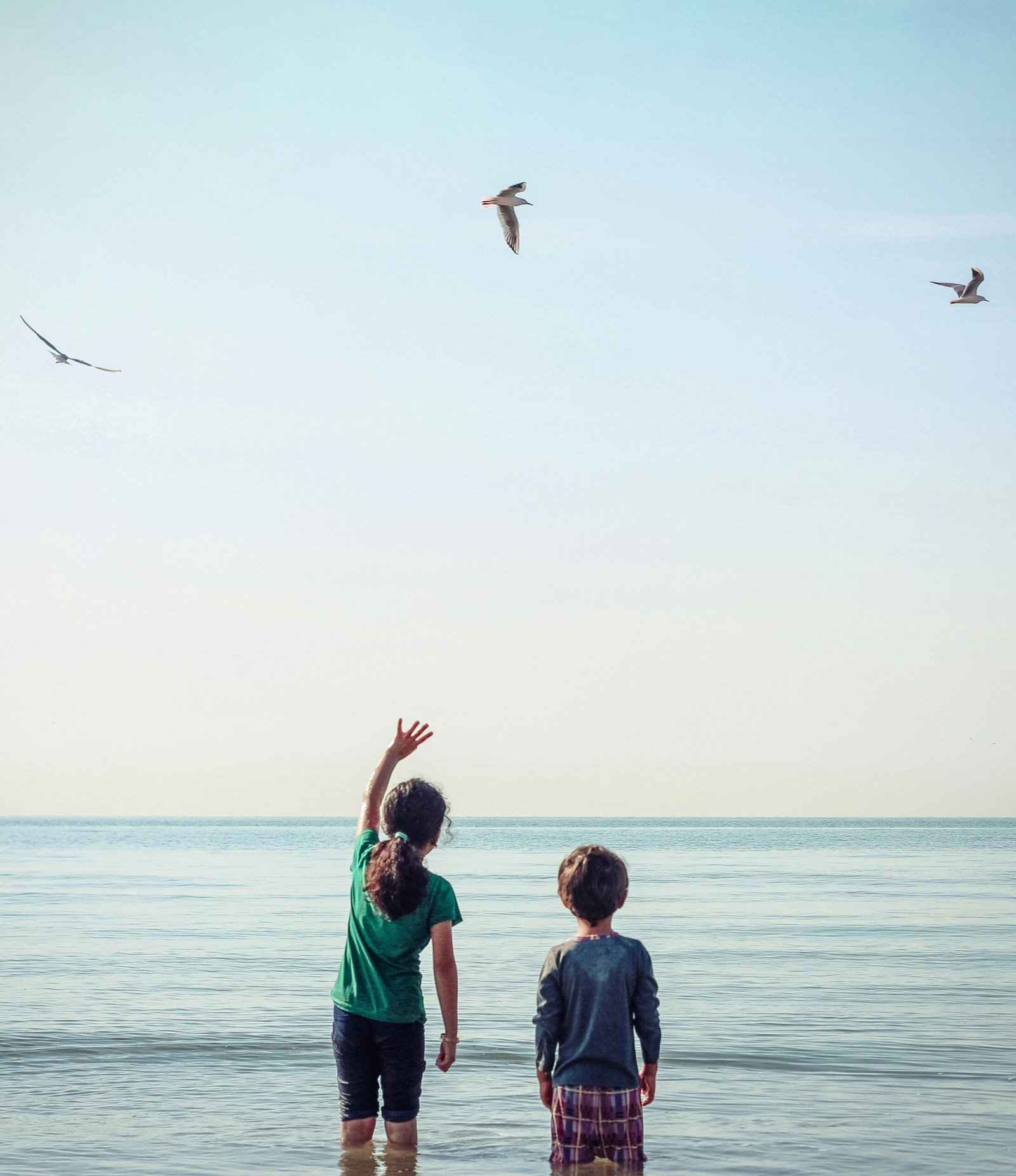 Two children watching birds over the sea at Bandar Abbas, Iran.