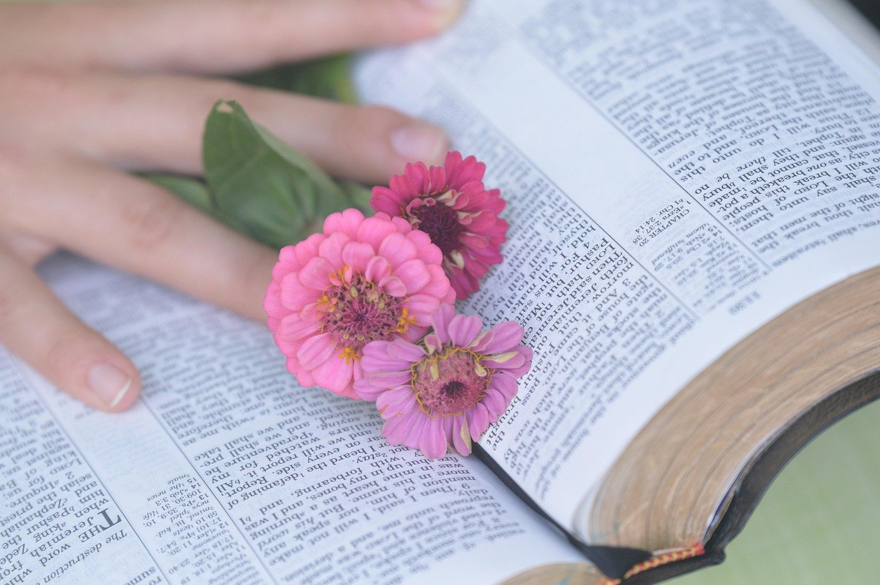 bible, beautiful flowers, flowers, flower background, hand, woman, flower wallpaper, nature, christian, blue bible